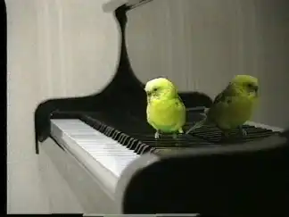 ピアノとちーちゃん